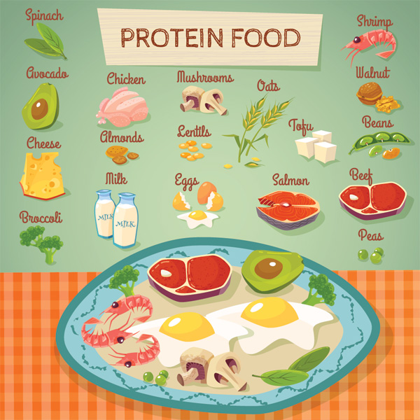 Sources of protein